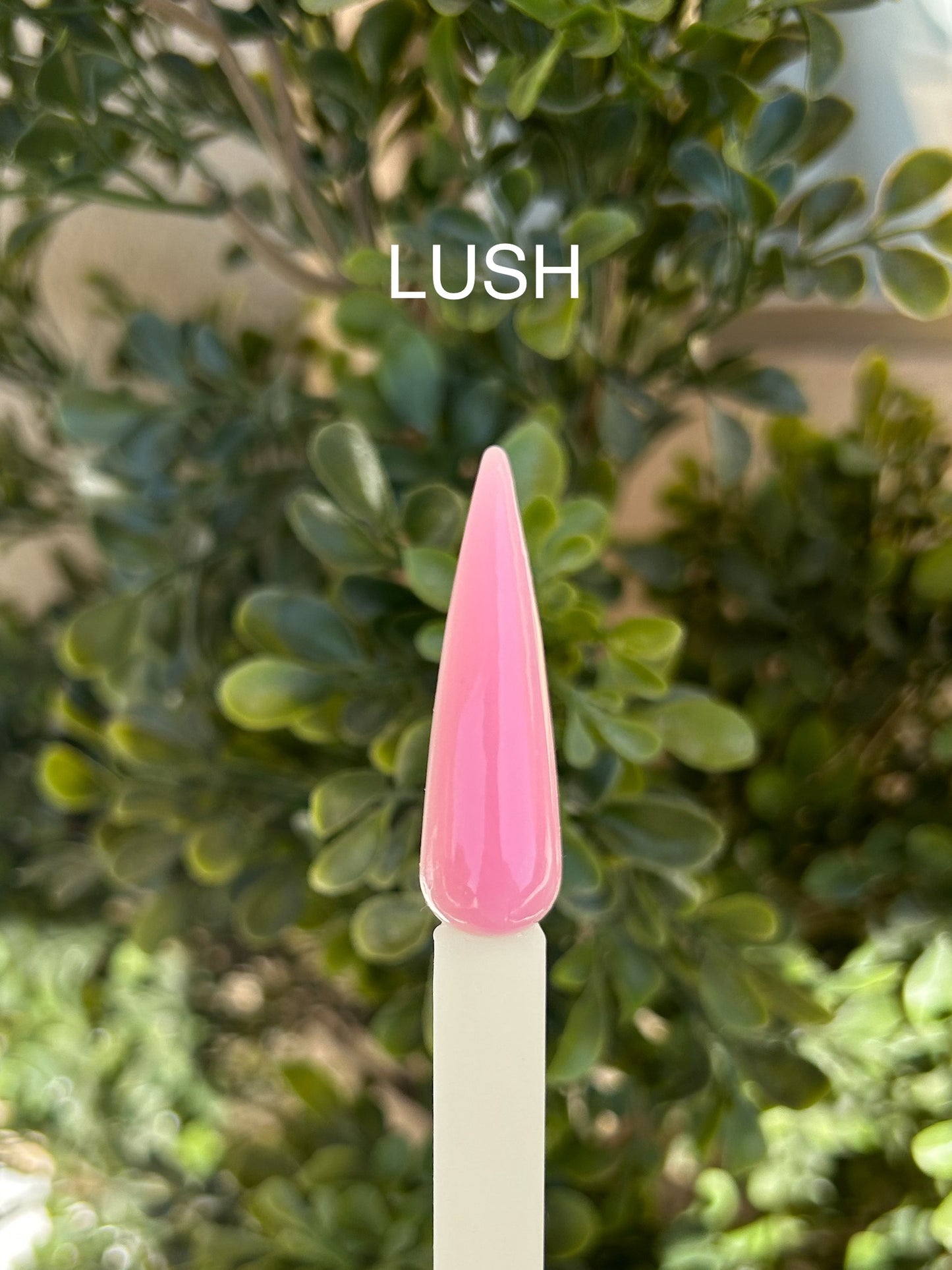 Tillfällig förpackning • Lush (30ML)